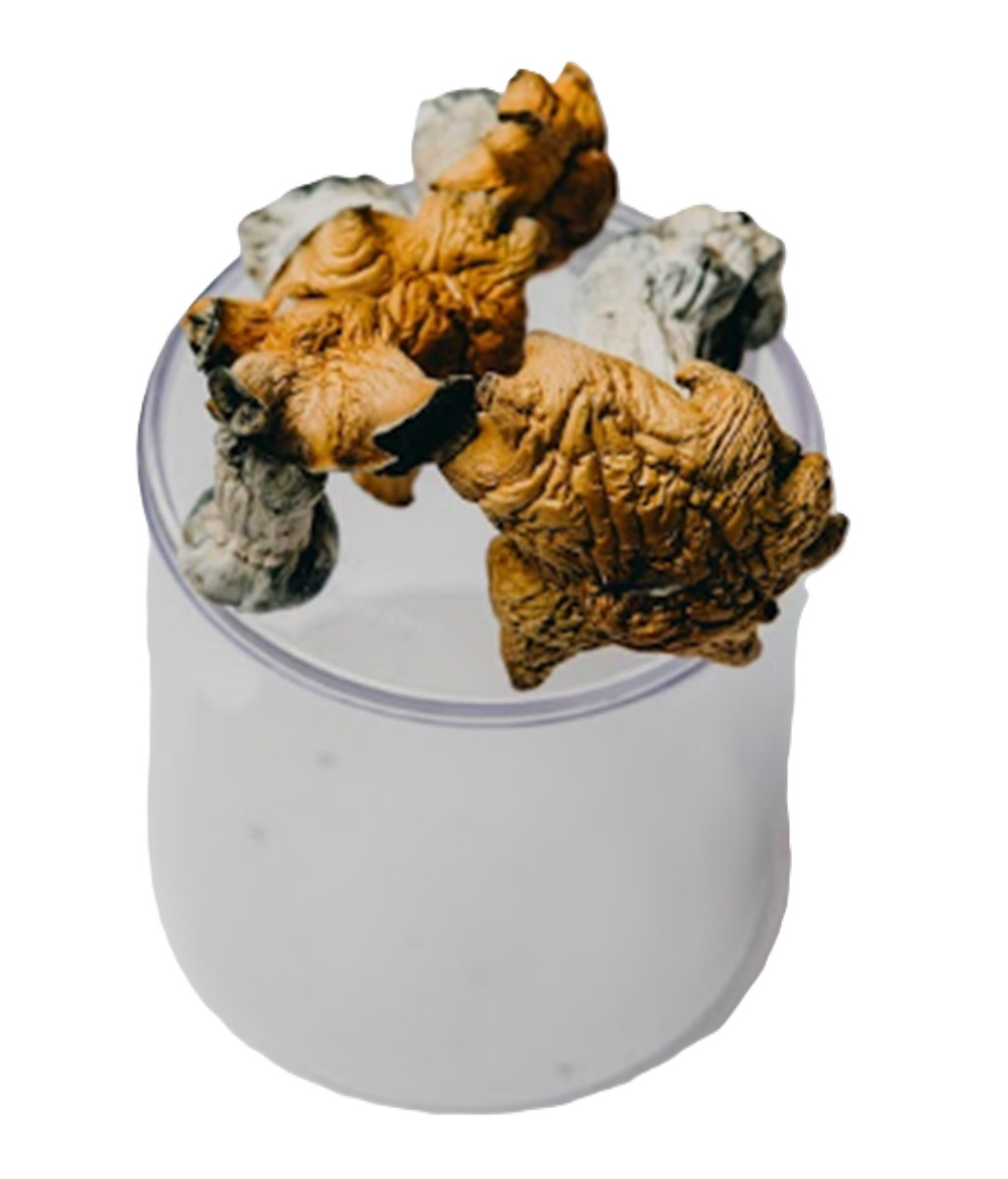 Dino Dung